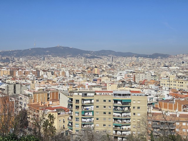 20260223_121443.jpg